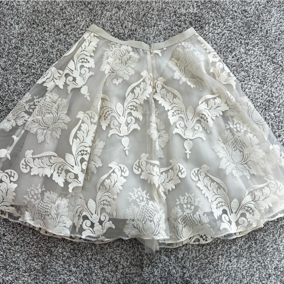 Baraschi Ethereal Romanric Fairy Embroidered Ivory A-Line Tulle Skirt Sz 6 - Picture 6 of 8